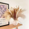 120 pz Erba di Pampa Decorativa Essiccata, 43 cm Decorazione Naturale di Fiori Essiccati, Naturale Secco Pampas Erba, fiori artificiali per la decorazione del bagno, Fiori Secchi per Home/Boho Decor
