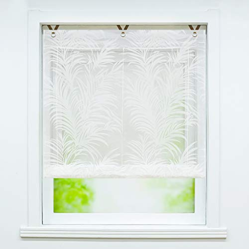 Joyswahl Voile Ösenrollo Transparenter Raffrollo mit Feder Ausbrennerqualität »Alisha« Schals Fenster Gardine mit Hakenaufhängung, Raffrollo ohne Bohren BxH 80x130cm 1 Stück