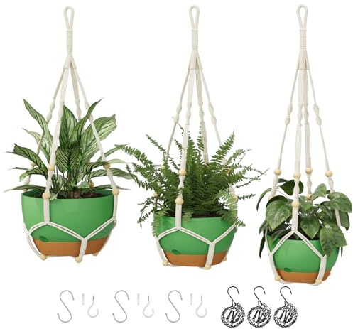 Bamworld 3-pack hängande planterare grön