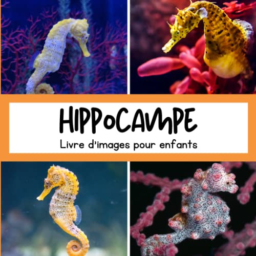 Livre d'images pour enfants - Hippocampe: Découvrir les Hippocampes en image - Enfants de 2 à 5 ans