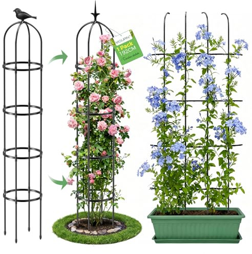MQUPIN Obelisco de jardín,torre de obeliscos para plantas trepadoras de 192cm,1Pcs soportes duraderos en forma de U para jardín Soporte Plantas Trepadoras,Adecuado para Todo Tipo de Plantas trepadoras