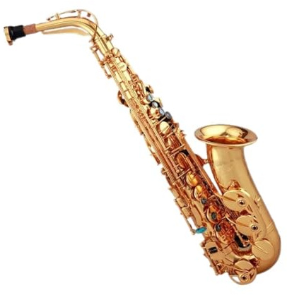 Professionell Saxofon Professionell Altsaxofon I Ess modell Förgylld Graverad Klockformad Träblåsinstrument