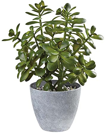 Westcharm 40 cm (16 tum). Krukväxt falsk jadeväxt heminredning | Konstgjord krassula ovata suckulent pengaträd i melaminkruka | Konstgrönt för kontor, hem, kök, badrum, bokhylla
