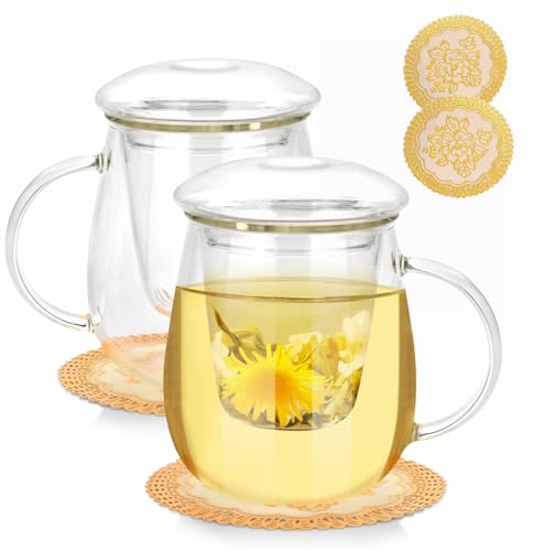 QHYK Juego de 2 tazas de té de cristal de 500 ml, con filtro de cristal y tapa de cristal, tazas de té adecuadas para té negro, bebidas, café helado, bolsas de té