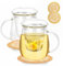 QHYK 2 Stück 500ml GlasTeetasse, Tasse mit Glas Filterbecher und Deckel aus Glas, mit Elegant PVC-Küstenfahrer, Teetasse geeignet für Schwarzer Tee, Getränke, Eiskaffee, Teebeutel