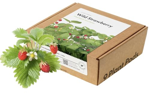 Click and Grow Smart Garden Wild Jordgubbsplantor, 9-pack