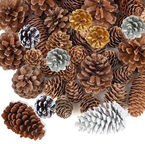 YAAVAAW 42Pcs Christmas Pine Cones for Decoration,2cm to 9cm Small Middle Large Fir Cones Rustic Natural Pine Cone for Crafts Christmas Party Ornament DIY Fall Winter Decor Home Xmas Tree Decorations