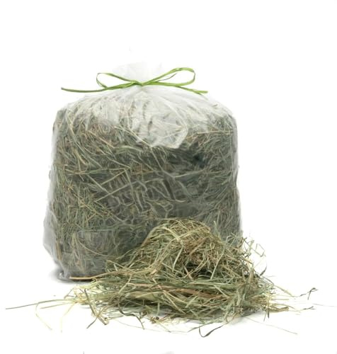 Foin naturel pour lapins 1 kg | Foin italien de prairie de montagne séché au soleil | Nourriture pour cochons d'Inde, Tous les rongeurs, chevaux, ovins, caprins | Qualité Premium 1