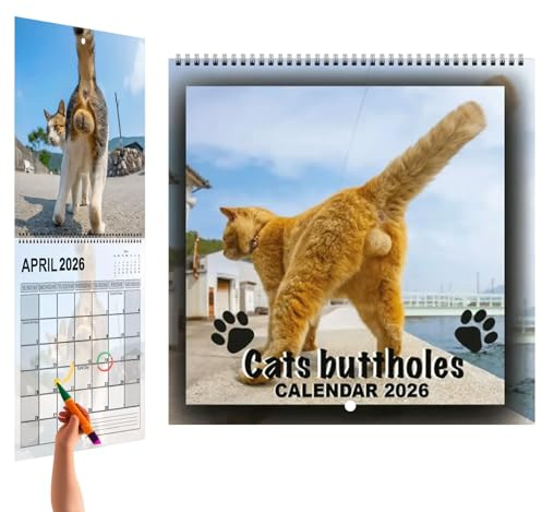 Calendario 2026 – Cat 12 Calendario mensile da parete 2026 | Strumento di pianificazione per la pianificazione familiare per scrivania, soggiorno, camera da, frigorifero e cucina