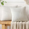MIULEE Juego de 2 Fundas de Almohada Fundas de Almohada Decorativas de Pana con Cremallera Oculta Aptas para Dormitorio Salón Beige 40X40CM