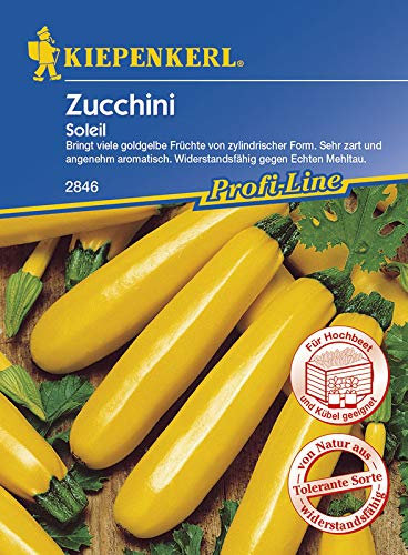 Kiepenkerl 2846 Zucchini Soleil (Zucchinisamen)