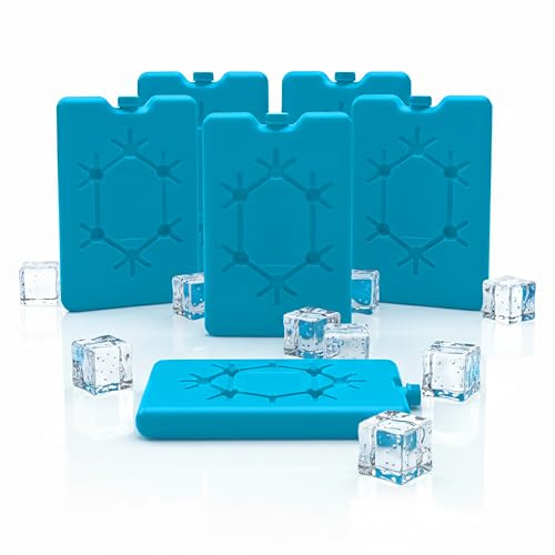 Spetebo Set di 2 batterie refrigeranti blu – 16 x 11 cm / 265 ml – Elementi refrigeranti con design piatto – Confezione frigo sottile per il pranzo, borsa frigo, campeggio, picnic, scuola