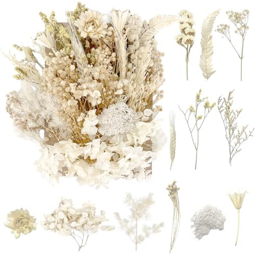 Dried Flowers, Pressed Flowers Dry Flowers Dried Flowers Crafts for DIY Arts Resin Scrapbooking Jewelry Making Floral Decorations（Pure White）
