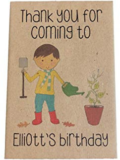 Party Bag fillers for Kids - Personalised Birthday Cress Seed Packets x 10 - Eco Plastic Free – Children’s Goody Loot Swag Favour Prizes – Contains UK Seeds, Party Prizes Grow All Year