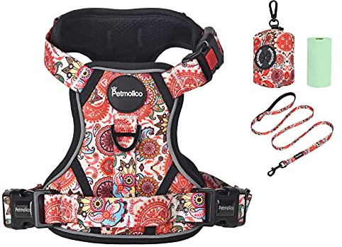 Petmolico No Pull Dog Harness Set with Leash Attachment Easy Control Handle Reflective Harness Vest Small Breed, Puppy Vest and Leash Set with Poop Bag Holder, Small - Boho Floral