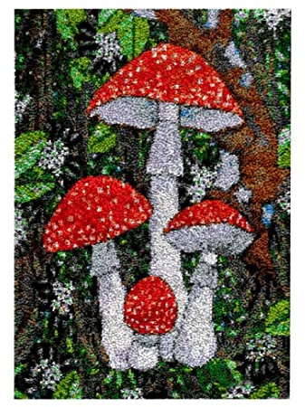 ROCKY&CHAO Latch Hook Kits for Kids and Adults, DIY Latch Hook Rug Kit, Cross Stitch Rug Making Kit, Carpet Making Crochet Kits Embroidery Kits Needlework Crafts for Home Decor, 50X38CM, Mushroom