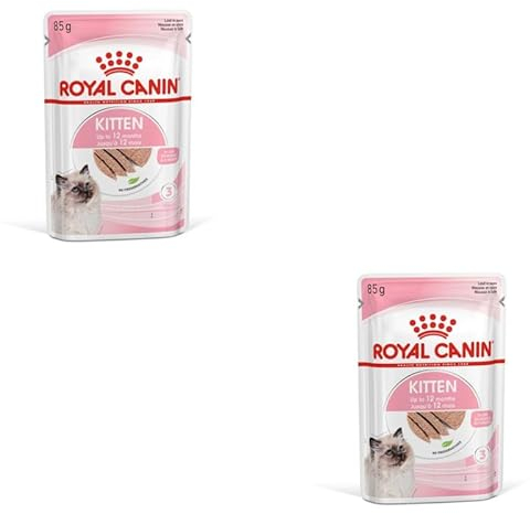 ROYAL CANIN Kitten Mousse in Soße | Doppelpack | 2 x 12 x 85 g | Nassfutter für Katzen | Speziell für Katzenwelpen in der zweiten Wachstumsphase bis zum 12. Monat | Weiche Textur