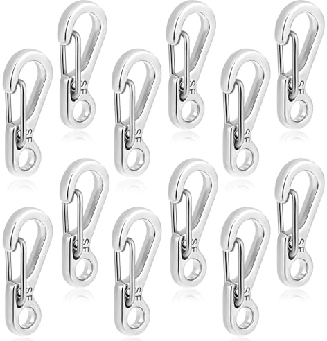 12 pièces de mousquetons petits 2,4 cm, mini mousquetons en acier inoxydable, mousquetons clé plus petits en argent avec fermeture à cliquet, clés pour camping, voyage, sac à dos, ceinture