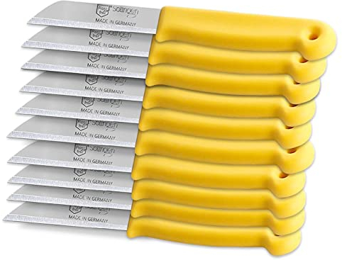 InstrumenteNrw Couteaux à légumes Solinger, lot de 10 Fabriqués en Allemagne avec une lame tranchante et précise pour couper les fruits et légumes (Court)