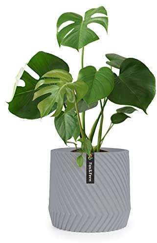 Fox&Fern Übertopf L mit 3D Riffelung - Blumentopf Gross inkl. Wasserabfluss - Blumentopf hoch 27cm - Übertöpfe für Zimmerpflanzen - Blumentopf 30cm Durchmesser - Pflanzentöpfe groß - Blumentopf grau
