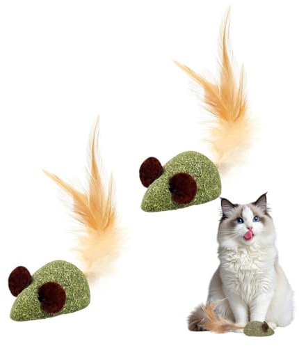 AYVRUOP 2 Piezas Juguetes Catnip, Juguetes de Hierba Gatera, Catnip pura y Natural, Comestible, Juguetes Interactivos para Gatos de Interior, limpieza Bucal, Eliminar Bolas de pelo, Regalos para Gatos