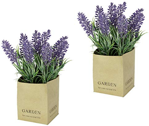 Flair Flower 2er-Set künstliche Lavendel-Pflanzen – Dekopflanzen im quadratischen Papiertopf – ca. 20 cm hoch – Kunstblumen für Zuhause, Büro & Geschenkideen 2er Set, violett