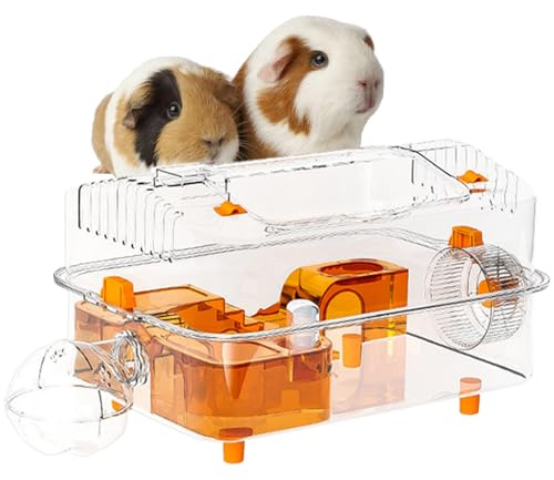 Hamsterbur Med Löphjul Och Genomskinliga Leksaker