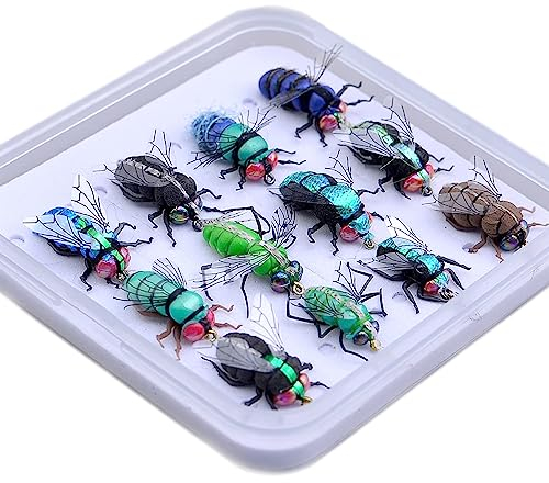 Fliegenfischen-Set mit Fliegenbox/Nymphen/Trockenfliegen, Nassfliegen/Luftschlangen/realistische Fliegen
