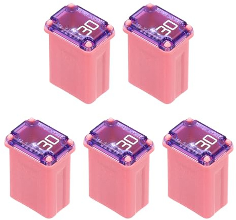 sourcing map 5 Pcs Micro Cartridge Fuses 30A 32V Slow-Blow Automotive Fuse | Automotive Fuse Kit,for Car Electrical Protection