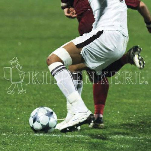 Kiepenkerl 4000159623613 RSM 3.2 Profi Sportrasen Regeneration ohne Poa pratensis 10 kg