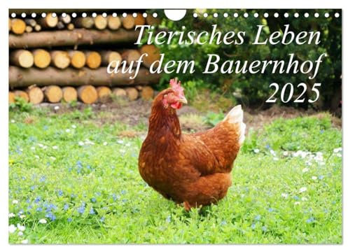 Tierisches Leben auf dem Bauernhof 2025 (Wandkalender 2025 DIN A4 quer), CALVENDO Monatskalender: Glückliche Tiere auf dem Bauernhof (CALVENDO Tiere)