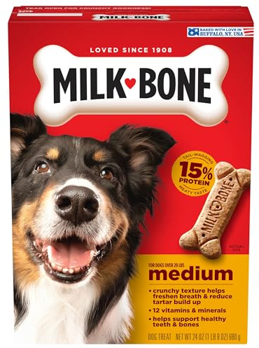 Milk-Bone Original Dog Treats Biscuits for Medium Dogs, 24 Ounces (Packaging May Vary)
