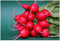 PREMIER SEEDS DIRECT - Radish - Cherry Belle - 10 Grams