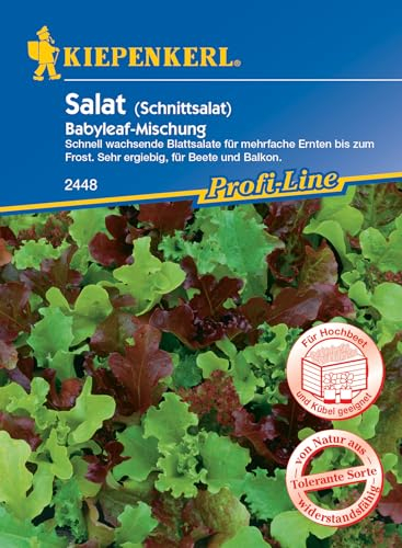 Kiepenkerl Profi-Line Salat Schnittsalatsamen Babyleaf-Mischung 2448, Gemüsesamen für Hochbeet & Kübel, Mehrfachernte, Schnellwachsend, Zarter Geschmack