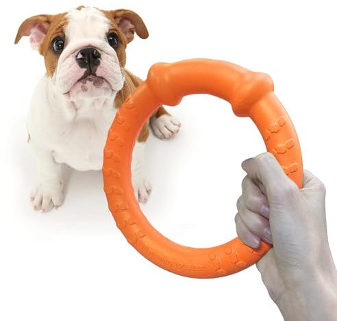 LaRoo Hund Frisbee Hundefitness Ring,Wasserspielzeug Unzerstörbare Float Hunde Disc Flugscheibe Spielzeug,Sommer Pet Training für Mittel und kleine Hunde