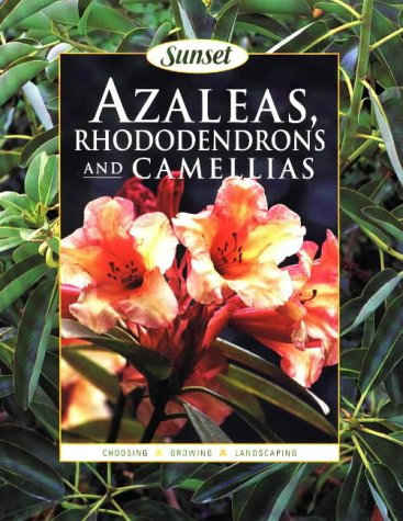 Azaleas, Rhododendrons and Camelias