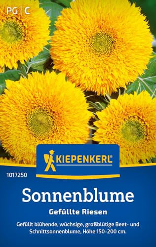 Kiepenkerl Sonnenblumensamen Gefüllte Riesen 1017250 - Blumensamen für eine großblütige Beet- und Schnittsonnenblume mit Inhalt für 30 Pflanzen - Saatgut