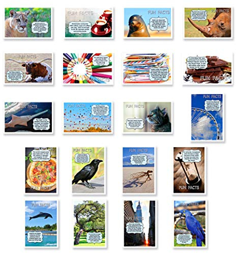 FUN FACTS postcard set of 20. Post card variety pack with trivia and fun fact theme postcards. Made in USA.
