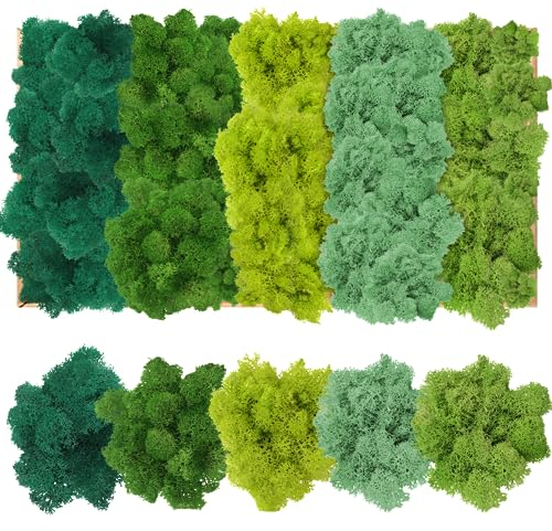 Islandmoos zum Basteln, Moos in 5 versch 200g für Moosbilder,Konserviert Deko Moos zum Basteln,Authentisch, langlebig, langlebig,für Moosbilder, als Deko oder zum Basteln