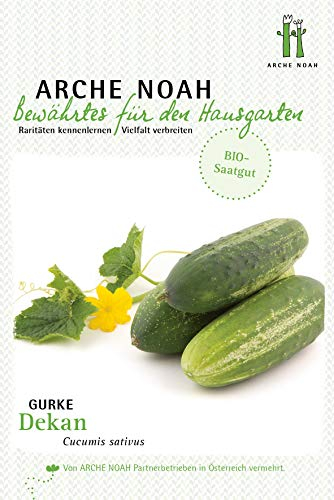 Arche Noah 6677 Einlegegurke Dekan (Bio-Gurkensamen)