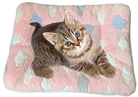 Pomurom Couverture apaisante pour Chat | Couvertures pour Chatons d'intérieur - Coussin pour Chat, Chiot, Chat, lit pour Chaton pour nervosité et Stress, couvertures pour Chiots
