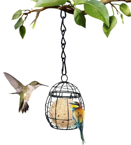 para albóndigas de carbonero | Comida de Colibrí para colgar de metal, con gancho, bola de alimentación para pájaros de ardilla, colgante de metal con ganchos, para exterior, jardín, terraza