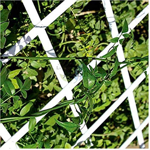 Suinga Treillis PVC Blanc 100 x 300 cm pour Jardin. Haie Artificielle Extensible.