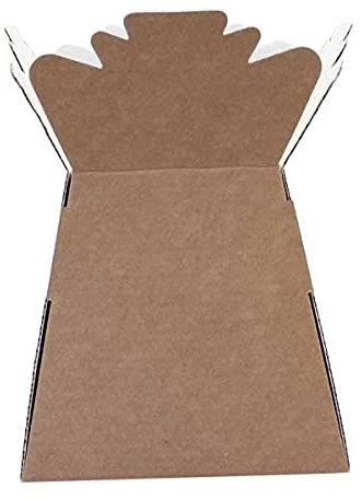 Floralcraft Natural Hand-Tied Vase Florist Bouquet Box, Presentation/Transporter Box/Flower Plant Aqua Boxes, (Pack of 30)