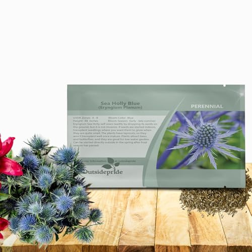 Outsidepride Silver Blue Sea Holly Seeds for Planting - 5000 Pcs Perennial Drought-Tolerant Eryngium Cut Flower Garden Seeds for Floral Arrangements, Pollinator & Low Water Gardens
