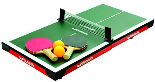 Butterfly Mini Table Tennis Table