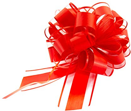 Oblique Unique® Geschenk Schleife mit Geschenkband Matt für Geschenke Tüten Zuckertüten zum Basteln Dekorieren Verzieren - Farbe wählbar (Rot)