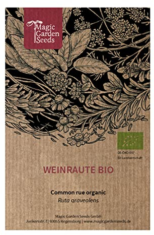 Ruta comune (Ruta graveolens) biologica - circa 100 semi