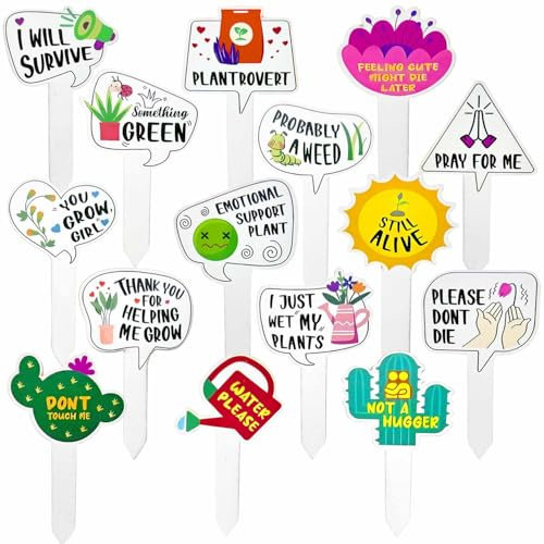 Lot de 15 étiquettes amusantes en bois pour jardin, 15 styles de formes assorties, étiquettes de plantes, étiquettes de jardin pour légumes, fleurs succulentes, plantes en pot