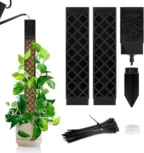 LangRay Tuteur Plantes Grimpantes, 2x25cm Tuteur Monstera pour Plantes d'intérieur, Tiges Auto-arrosant Bâton Extension en Plastique, Support pour Plantes Grimpantes Sphaigne Coco Jardin
